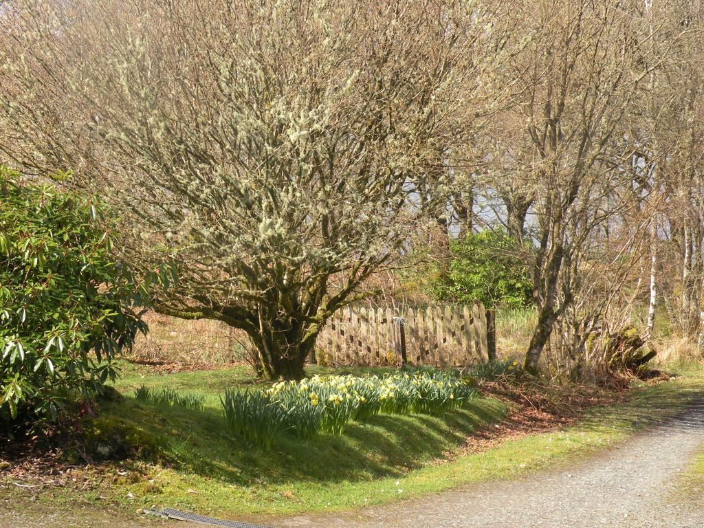 Mchugh And Loudon Cottages Saint Catherines エクステリア 写真